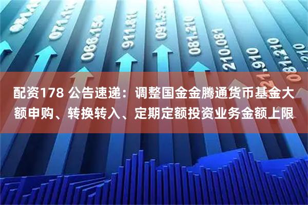 配资178 公告速递：调整国金金腾通货币基金大额申购、转换转入、定期定额投资业务金额上限